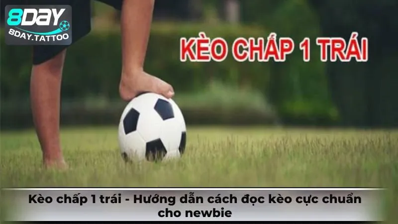 Kèo chấp 1 trái – Hướng dẫn cách đọc kèo cực chuẩn cho newbie